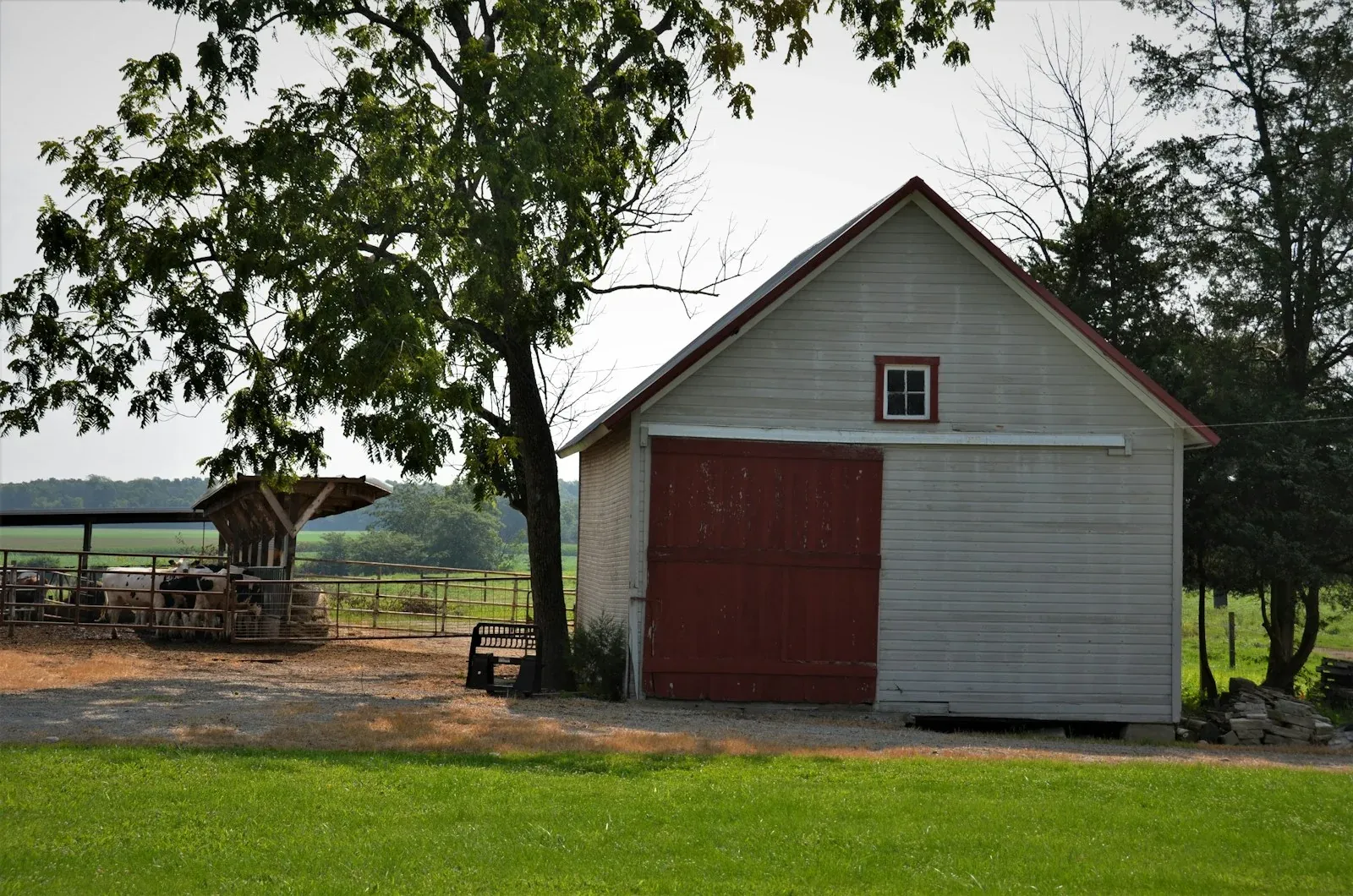 A detached shop building with a large red door, beside mature trees